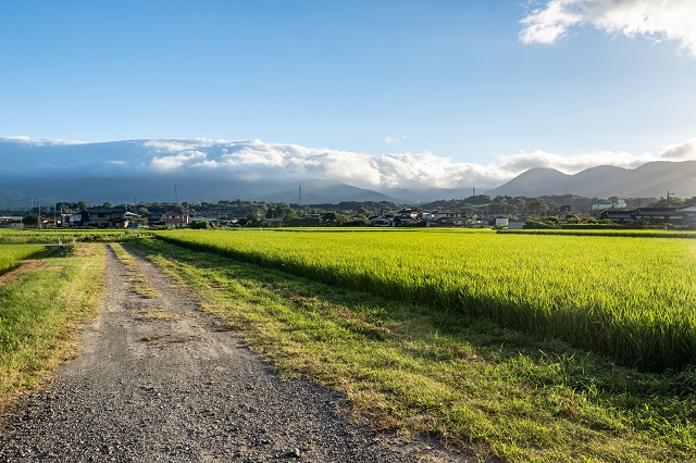 Beautiful farmland in Matsuda, Kanagawa, Japan